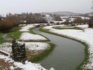 Bela_Pivka_Simon Godec (3.mesto)